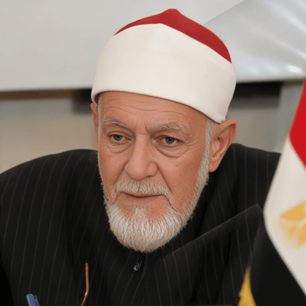 احمد محمد عامر